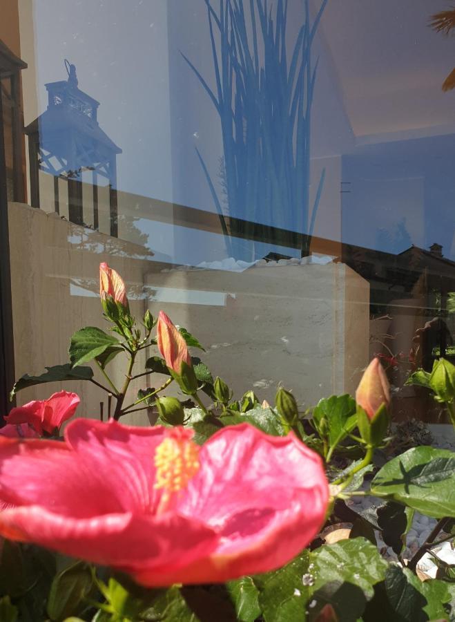 Hotel Sorriso Numana Dış mekan fotoğraf